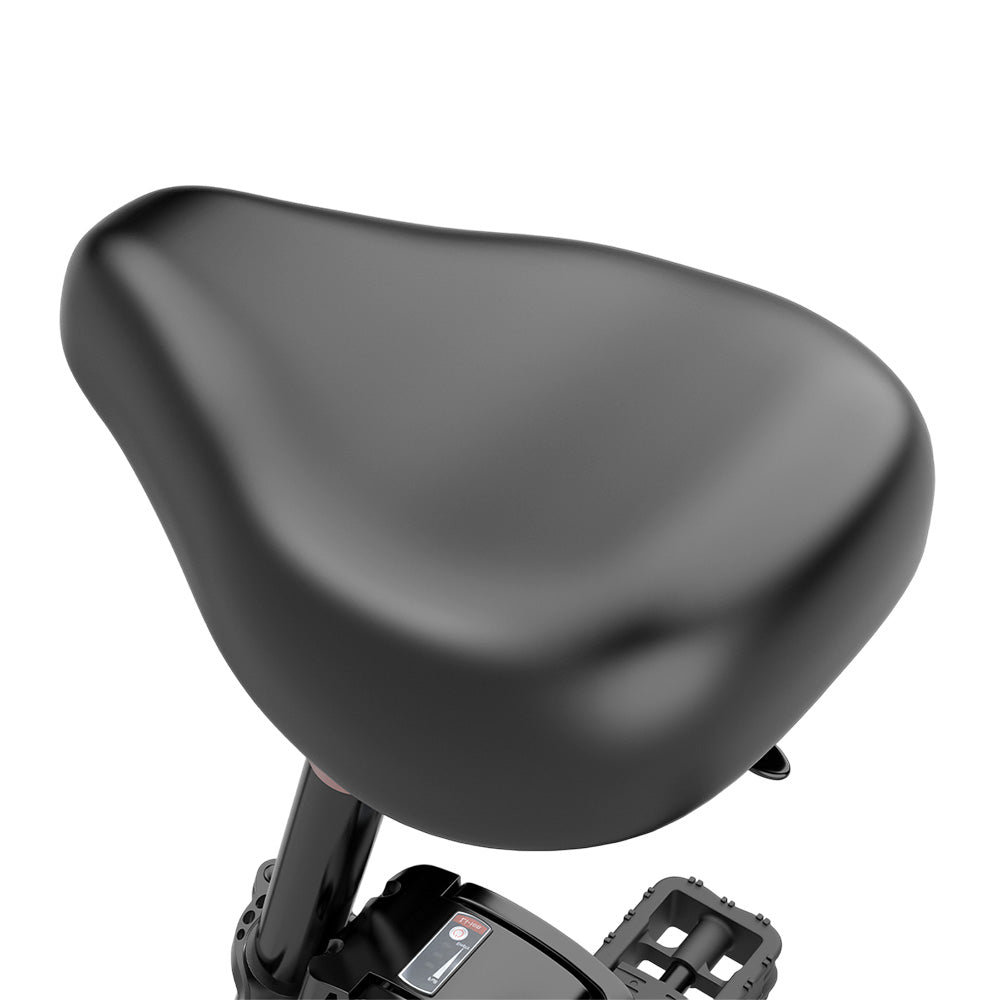 ESKUTE D100 Electric Bike 16" Tires 250W Motor 36V 13Ah Battery