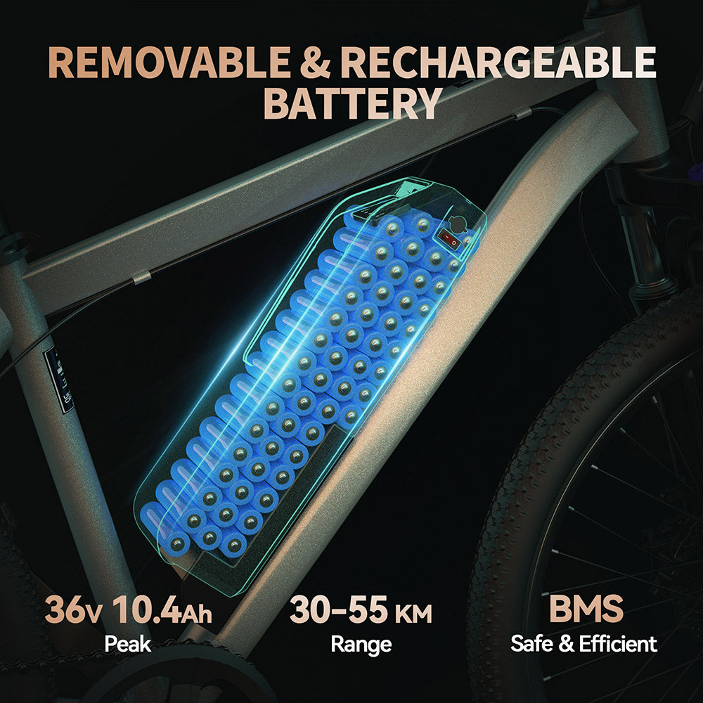 ESKUTE M100 Electric Bike 27.5" Tires 250W Motor 36V 10.4Ah Battery