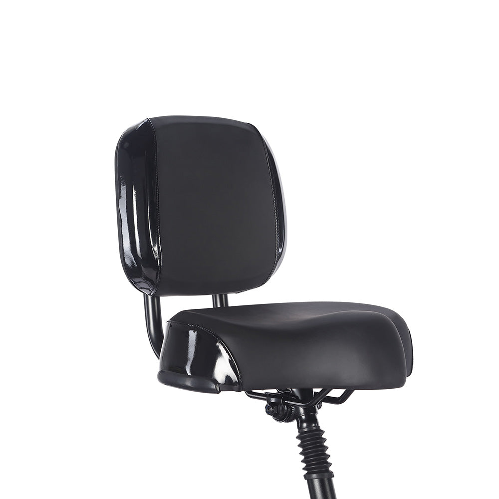 Fafrees F20 Mate Foldable Electric Tricycle 48V 23.45Ah Battery With L2e-P Certified