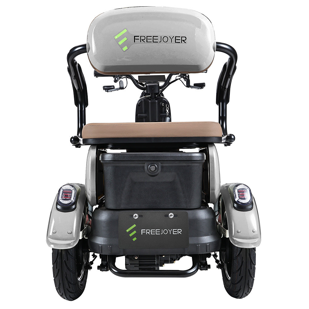 Freejoyer FV6 Electric Tricycle 1000W Motor 60V 20Ah Battery
