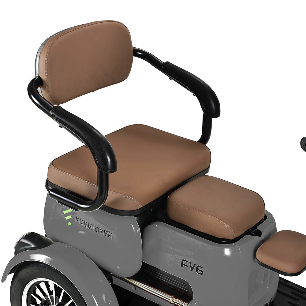 Freejoyer FV6 Electric Tricycle 1000W Motor 60V 20Ah Battery