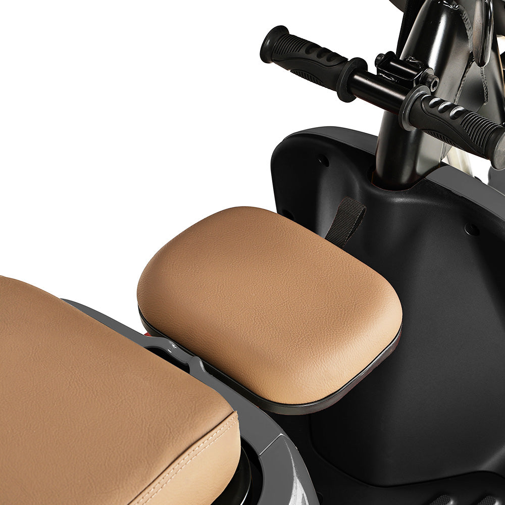 Freejoyer FV6 Electric Tricycle 1000W Motor 60V 20Ah Battery