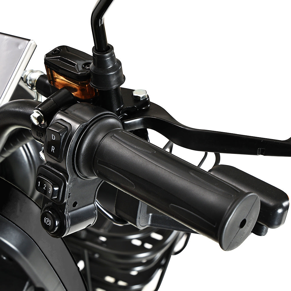 Freejoyer FV6 Electric Tricycle 1000W Motor 60V 20Ah Battery