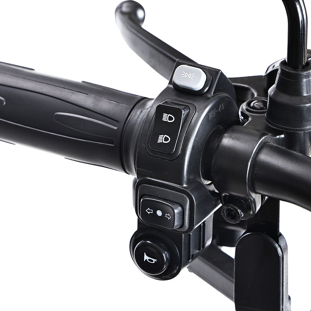 Freejoyer FV6 Electric Tricycle 1000W Motor 60V 20Ah Battery