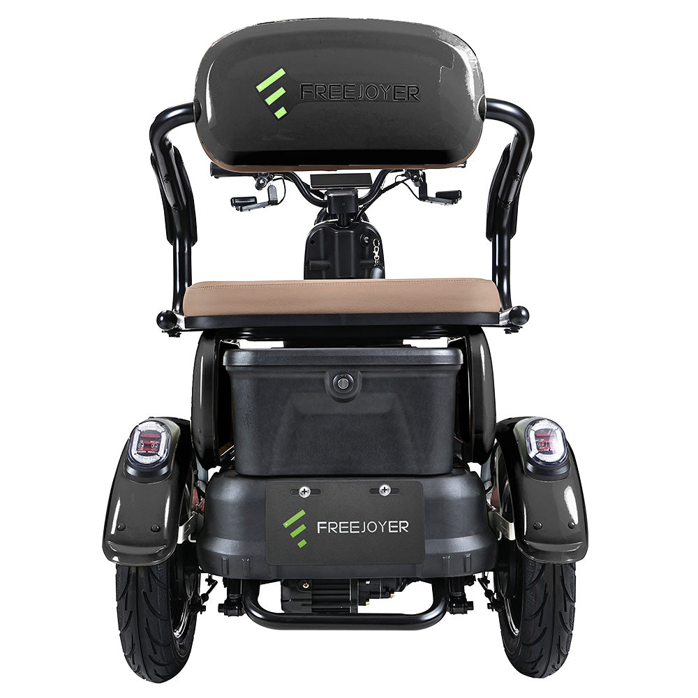 Freejoyer FV6 Electric Tricycle 1000W Motor 60V 20Ah Battery