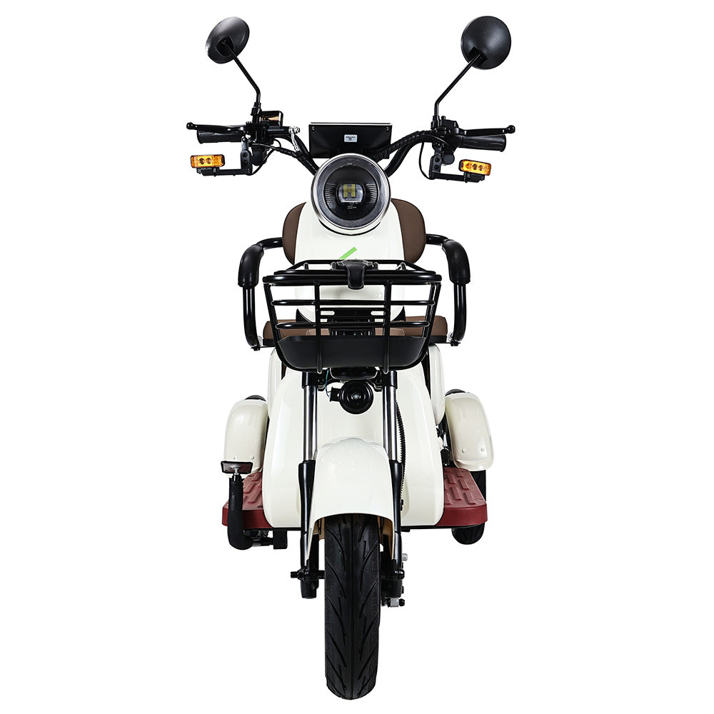 Freejoyer FV6 Electric Tricycle 1000W Motor 60V 20Ah Battery