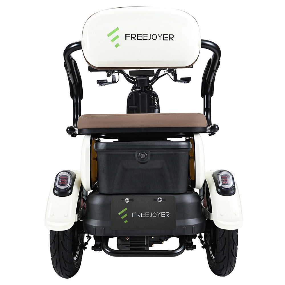 Freejoyer FV6 Electric Tricycle 1000W Motor 60V 20Ah Battery