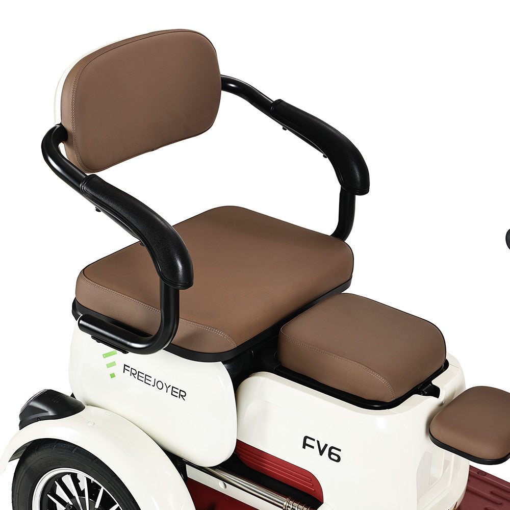 Freejoyer FV6 Electric Tricycle 1000W Motor 60V 20Ah Battery