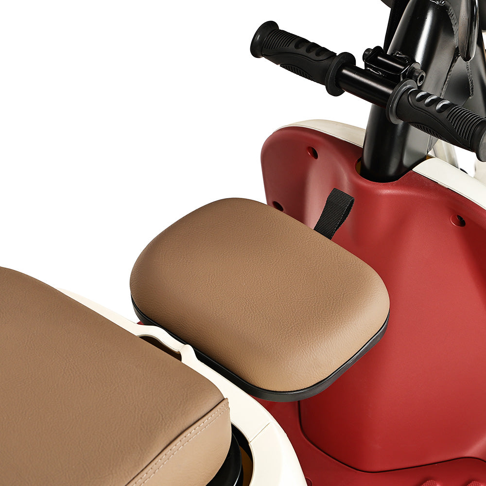 Freejoyer FV6 Electric Tricycle 1000W Motor 60V 20Ah Battery