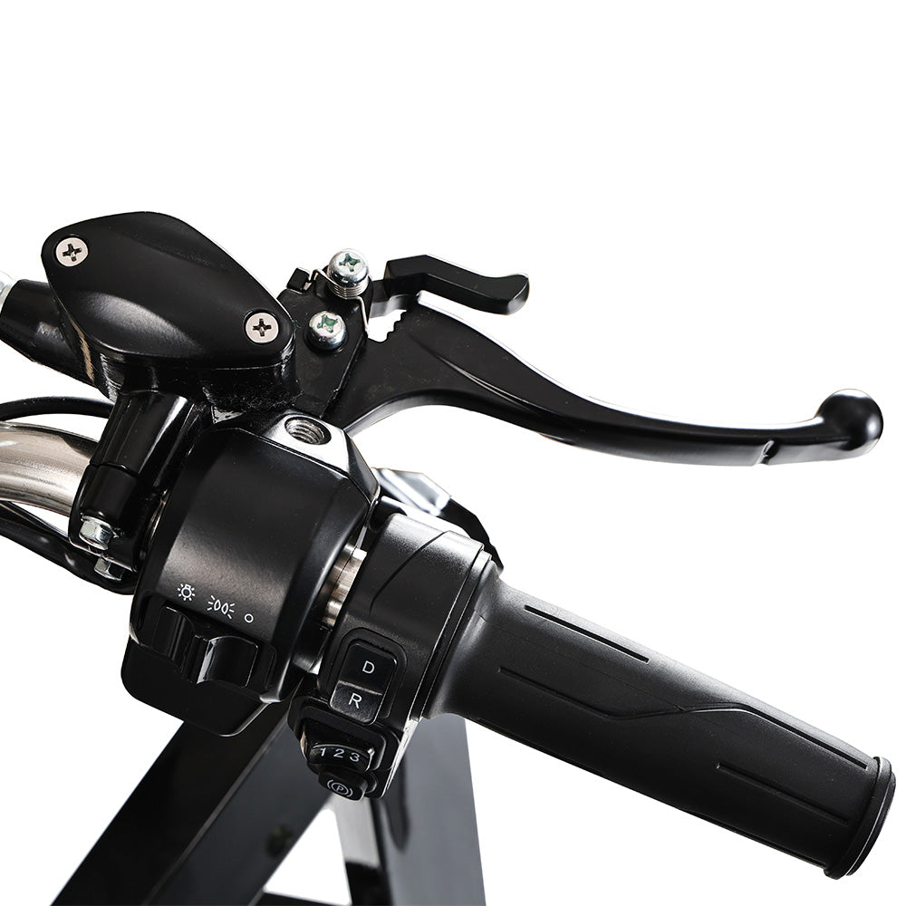 Freejoyer FW5 Electric Tricycle 3000W Motor 72V 58Ah Battery