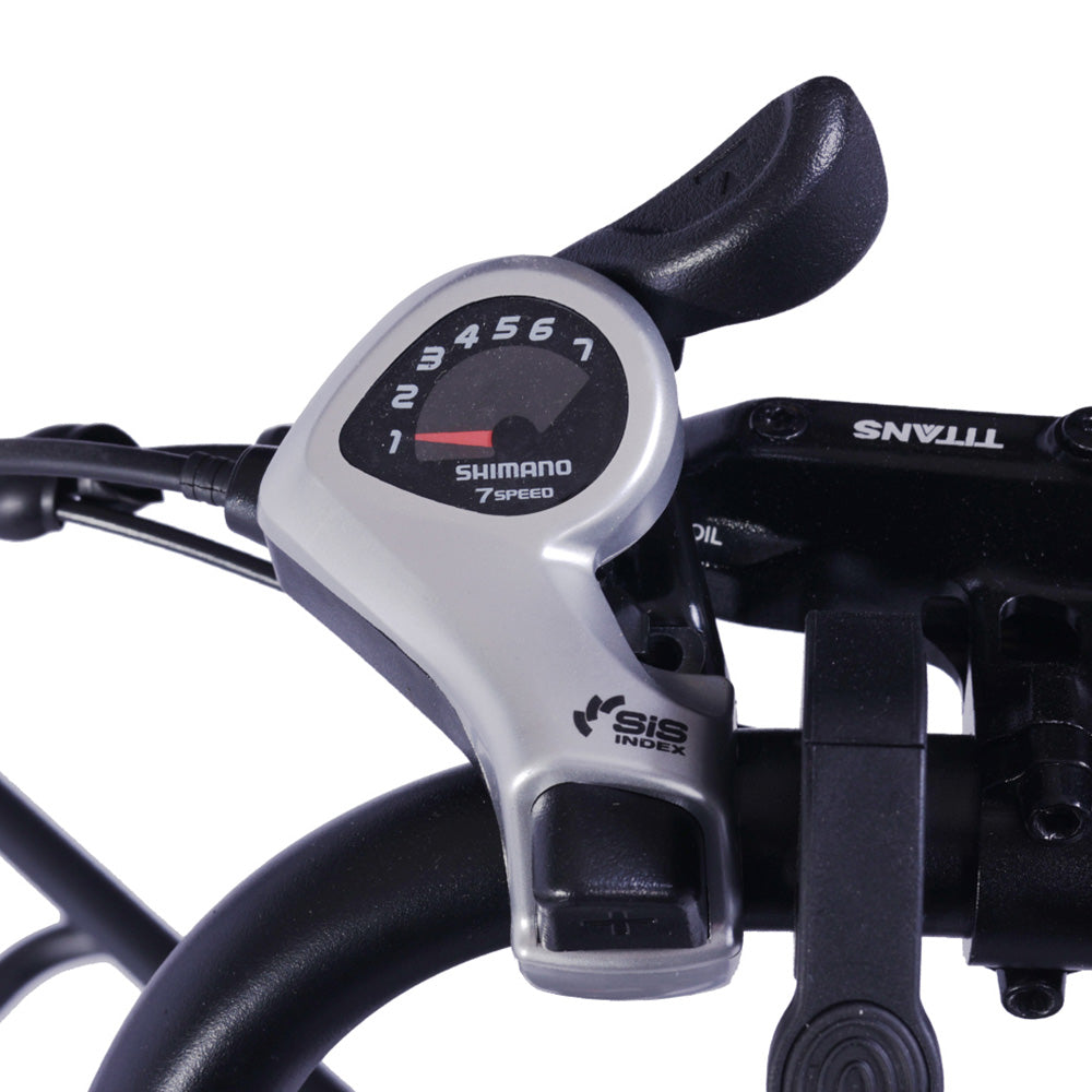 GOGOBEST GF200 Electric Bike 20" Tire 500W Motors 48V 15.6Ah Battery