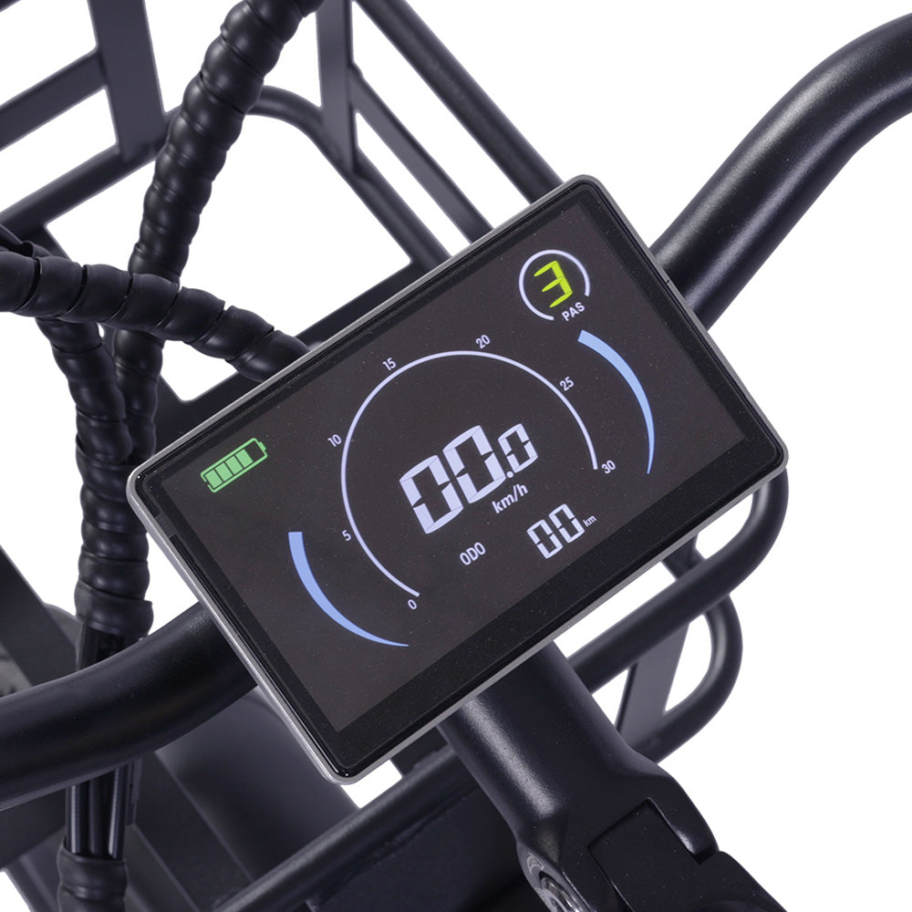 GOGOBEST GF200 Electric Bike 20" Tire 500W Motors 48V 15.6Ah Battery