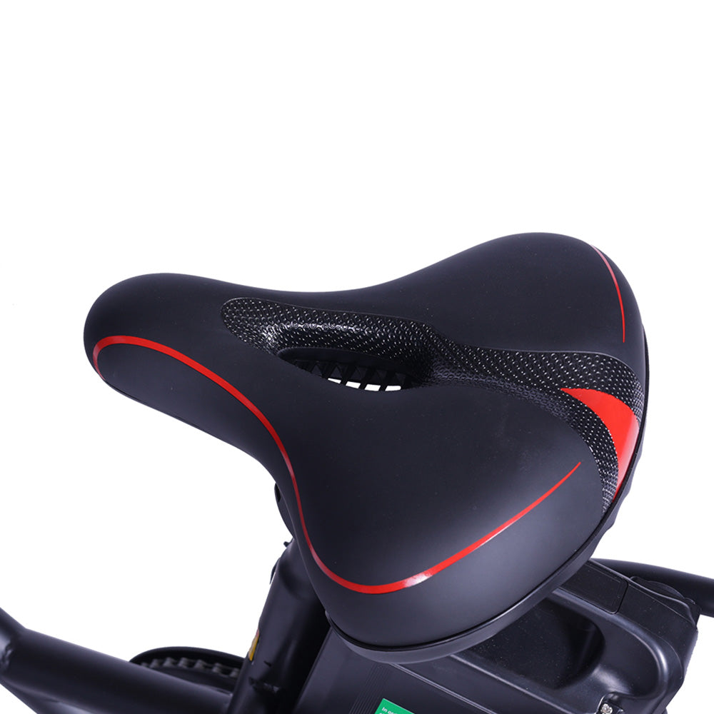 GOGOBEST GF200 Electric Bike 20" Tire 500W Motors 48V 15.6Ah Battery