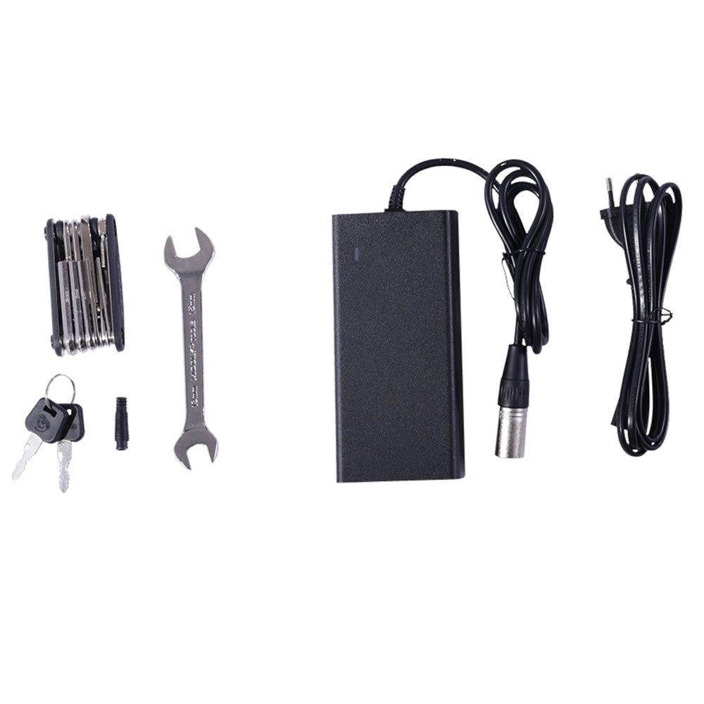 GOGOBEST GF200 Electric Bike 20" Tire 500W Motors 48V 15.6Ah Battery