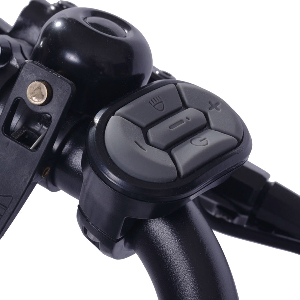 GOGOBEST GF200 Electric Bike 20" Tire 500W Motors 48V 15.6Ah Battery