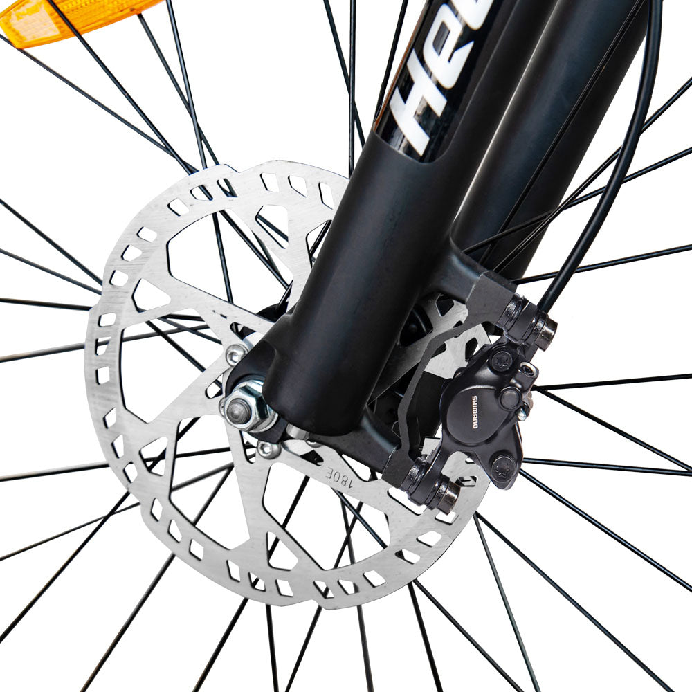 HedaTX TX19 Elektrisches Mountainbike 29" Reifen 1000W Motor 48V 19,2Ah Akku