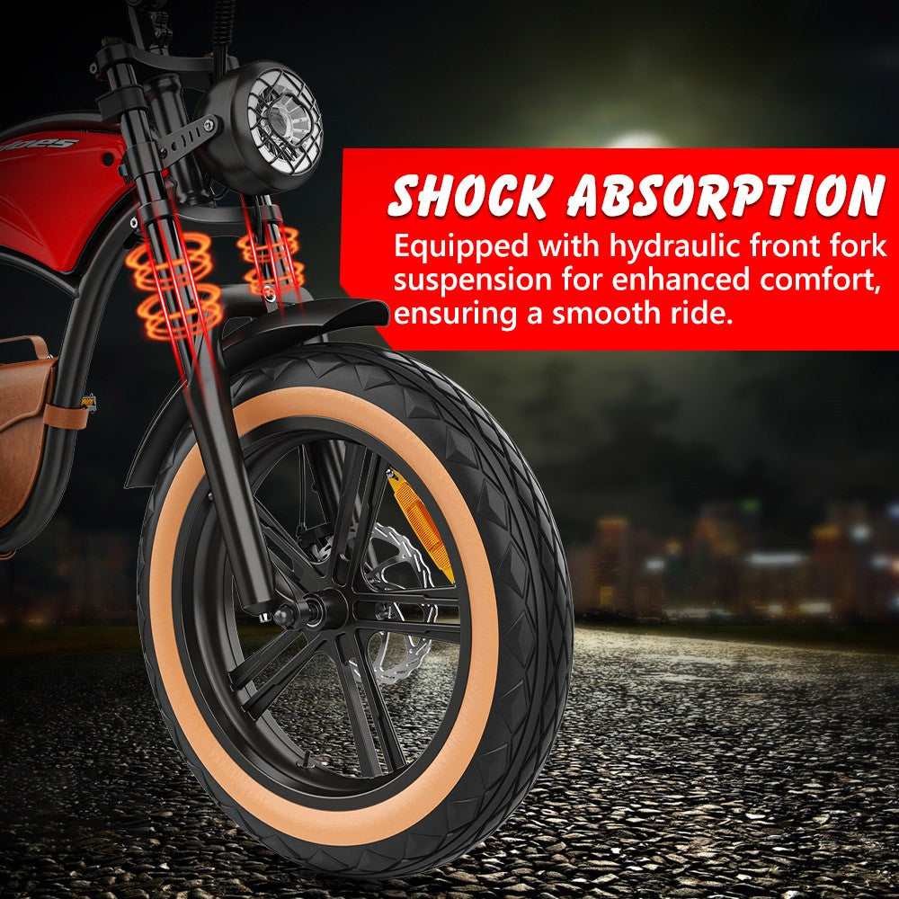 Hidoes B10 Electric Dirt Bike 20" Fat Tires 1000W Motor 48V 12.5Ah Battery