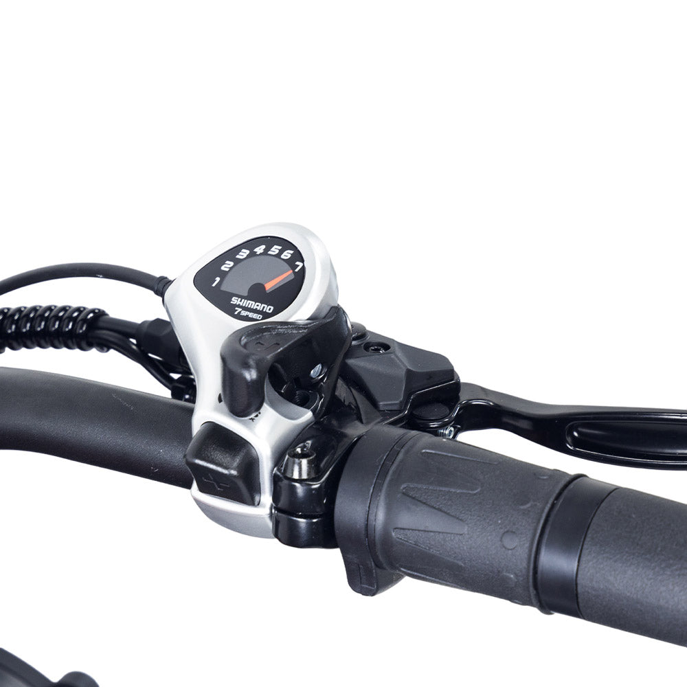 Hidoes B6 Electric Dirt Bike 20" Fat Tires 1200W Motor 48V 15Ah Battery