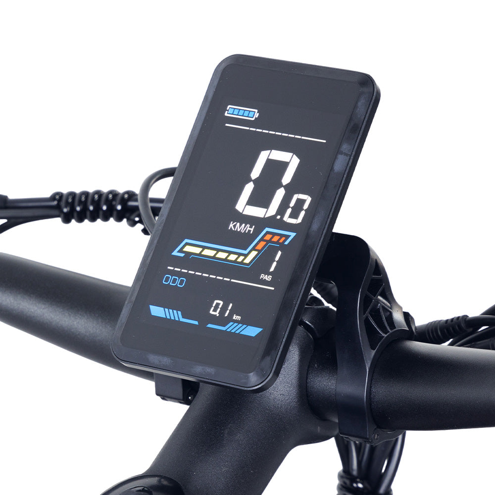 Hidoes B6 Electric Dirt Bike 20" Fat Tires 1200W Motor 48V 15Ah Battery