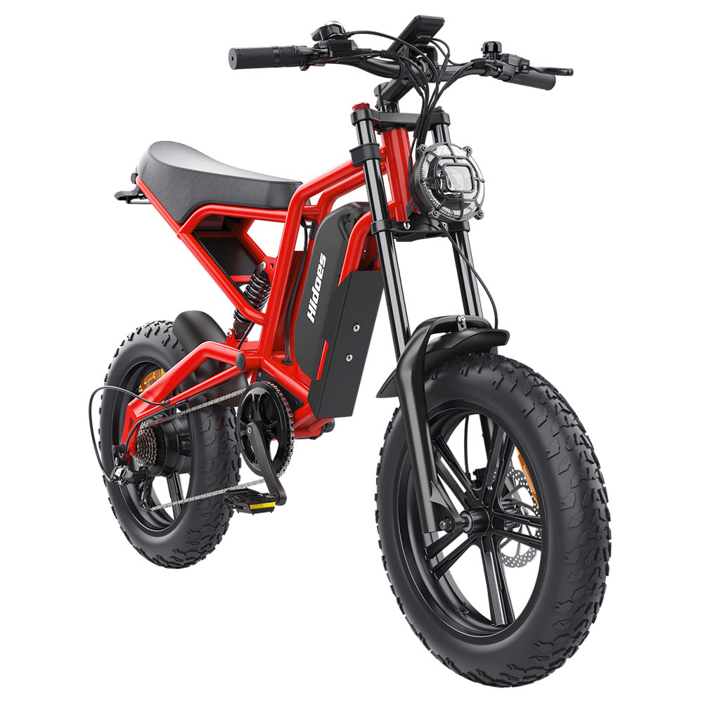 Hidoes B6 Electric Dirt Bike 20" Fat Tires 1200W Motor 48V 15Ah Battery