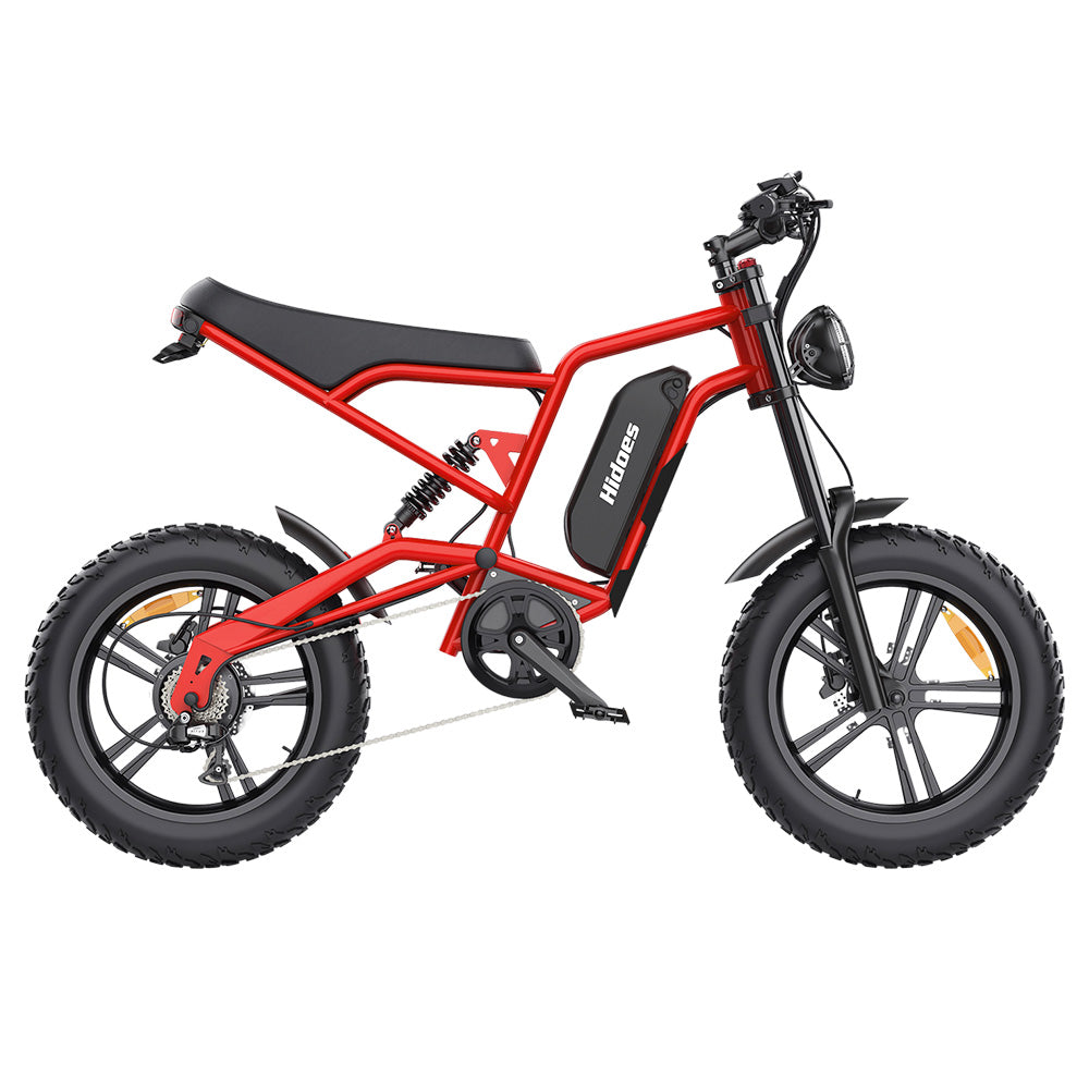Hidoes B6 Electric Dirt Bike 20" Fat Tires 1200W Motor 48V 15Ah Battery