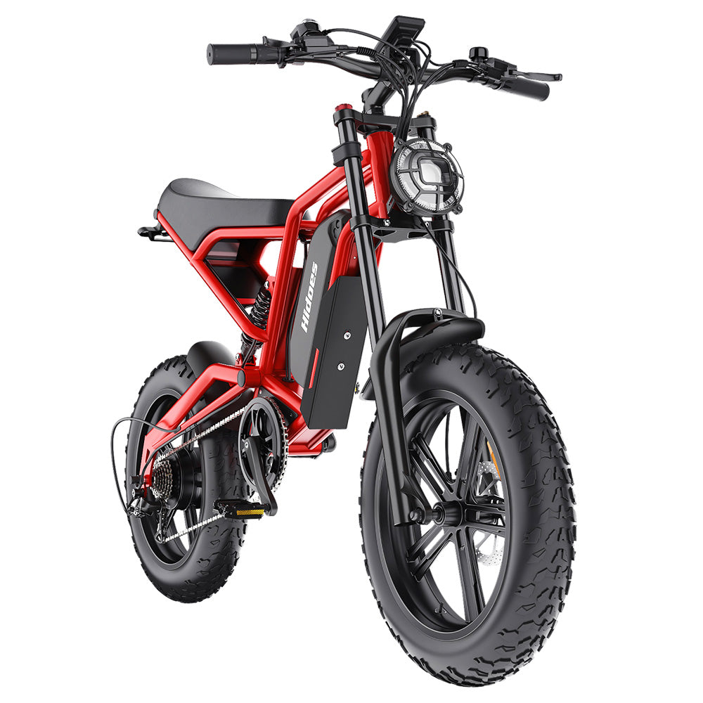 Hidoes B6 Electric Dirt Bike 20" Fat Tires 1200W Motor 48V 15Ah Battery