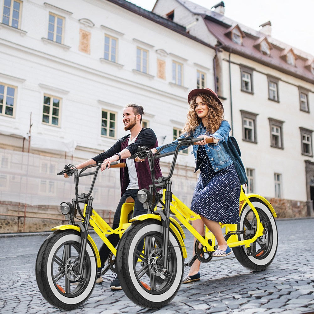 Hidoes C8 Electric Bike 20" Tires 700W Motor 48V 17Ah Battery