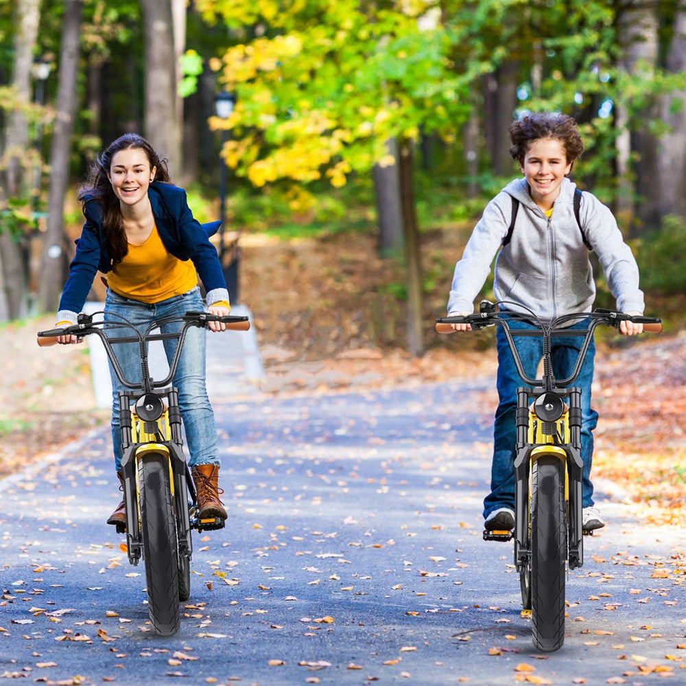 Hidoes C8 Electric Bike 20" Tires 700W Motor 48V 17Ah Battery