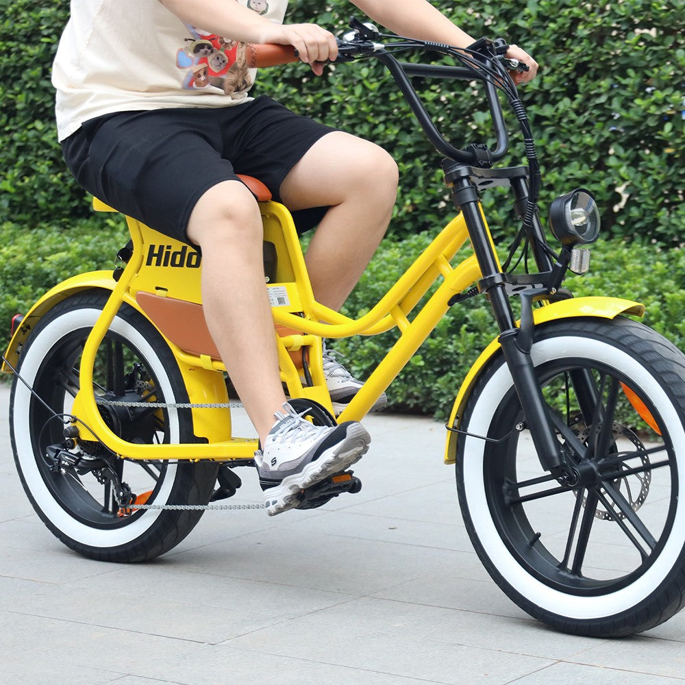 Hidoes C8 Electric Bike 20" Tires 700W Motor 48V 17Ah Battery