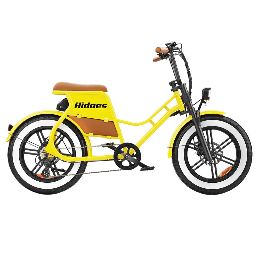 Hidoes C8 Electric Bike 20" Tires 700W Motor 48V 17Ah Battery