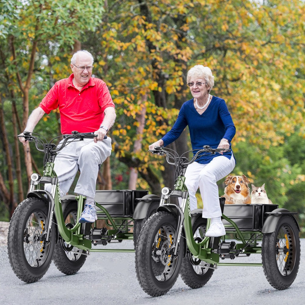 Vipcoo VC-ET1 Electric Cargo Tricycle 20" Tires 750W 48V 20Ah