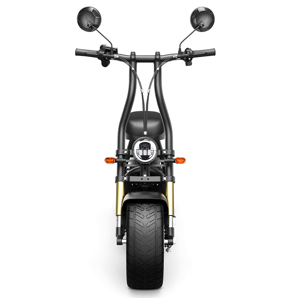 Honey Whale M5 Max Electric Scooter with Seat 14" Tires 1000W 48V 13Ah Battery