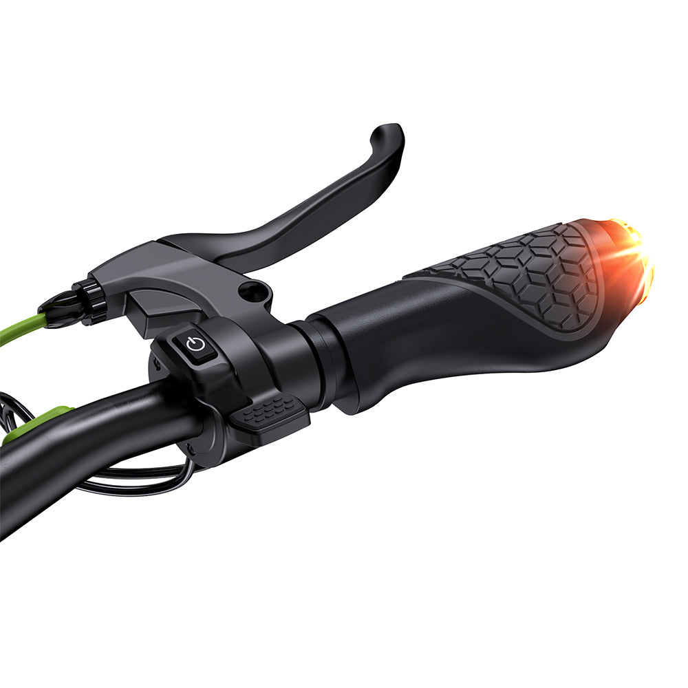 iSinwheel S10MAX Electric Scooter 10" Off-road Tires 1000W Motor 48V 15Ah Battery