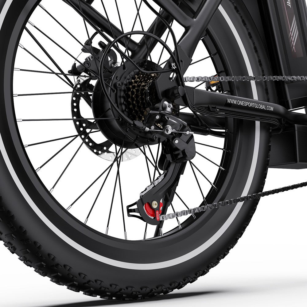 ONESPORT OT16-2 Electric Bike 20" Tires 250W Motor 48V 17Ah Battery