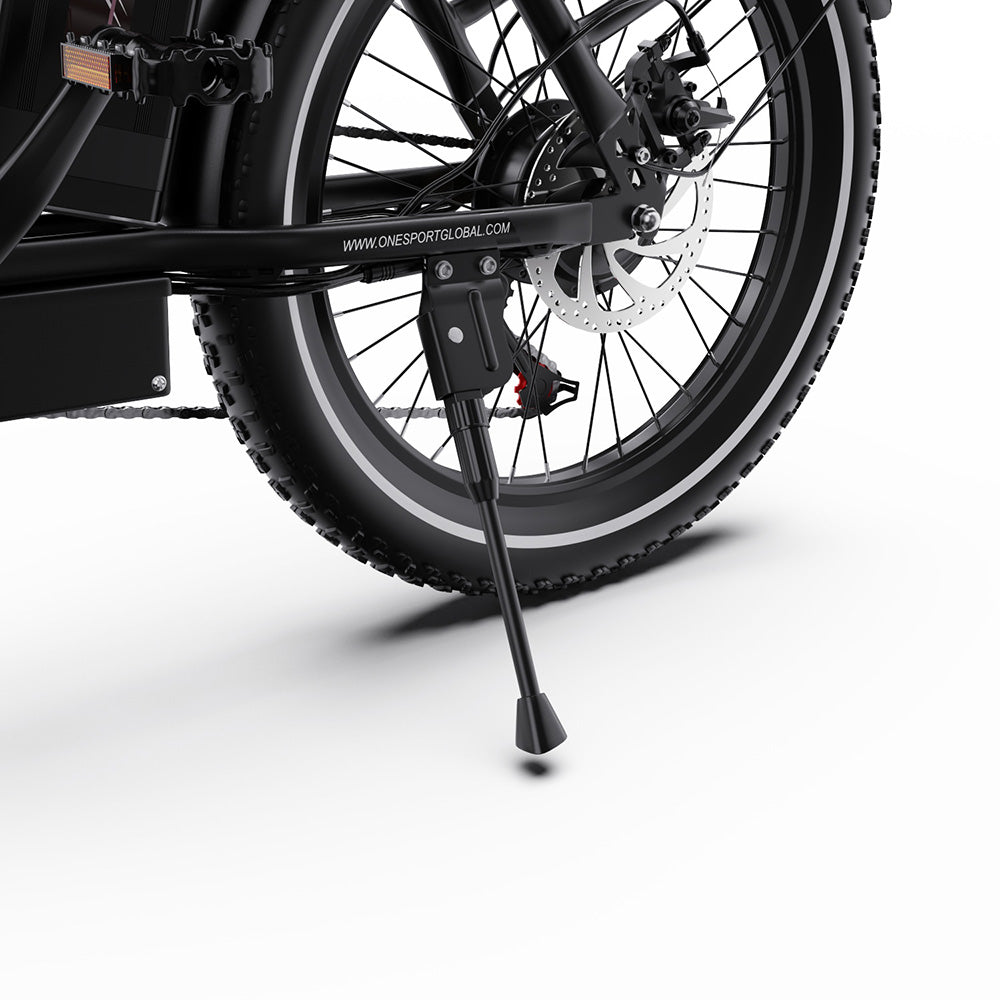 ONESPORT OT16-2 Electric Bike 20" Tires 250W Motor 48V 17Ah Battery