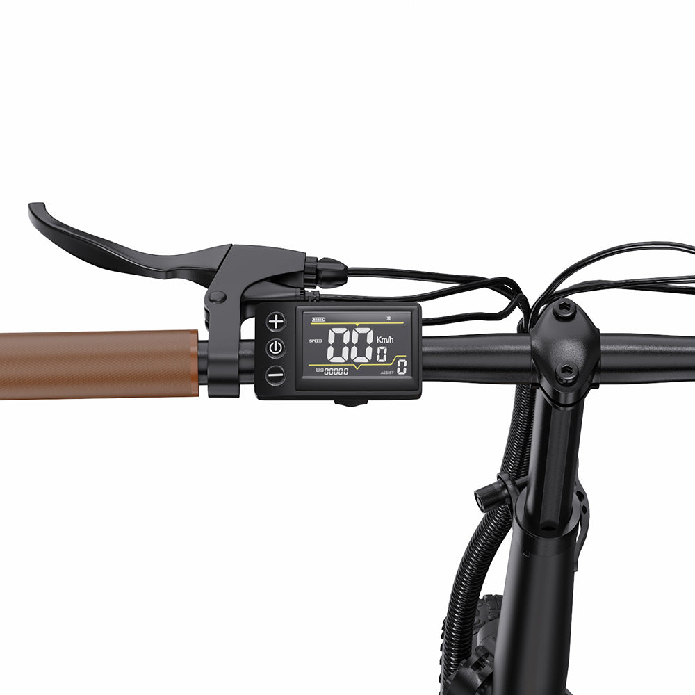 ONESPORT OT16-2 Electric Bike 20" Tires 250W Motor 48V 17Ah Battery