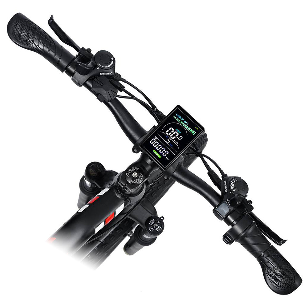 RANDRIDE YX90M Elektrisches Mountainbike 26" Reifen 1000W Motor 48V 13.6Ah Batterie