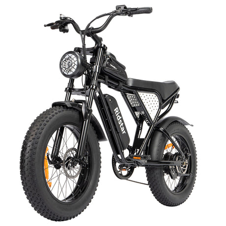 ridstar-q20-mini-electric-bike_3