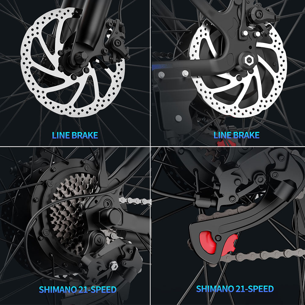 Ridstar S29 Pro Electric Bike 29" Tires 1000W Motor 48V 21Ah Long-Range Battery