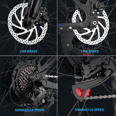 Ridstar S29 Pro Electric Bike 29" Tires 1000W Motor 48V 21Ah Long-Range Battery