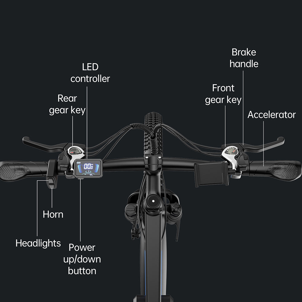Ridstar S29 Pro Electric Bike 29" Tires 1000W Motor 48V 21Ah Long-Range Battery
