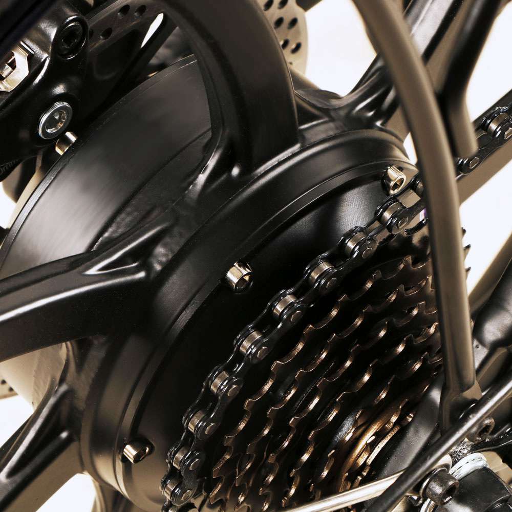 SAMEBIKE 20LVXD30 Elektrofahrrad 20" Reifen 350W Motor 48V 10Ah Batterie