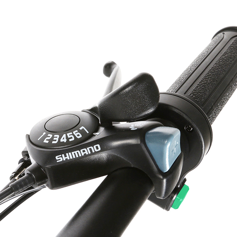 SAMEBIKE 20LVXD30-II Elektrofahrrad 20" Reifen 350W Motor 48V 10Ah Batterie