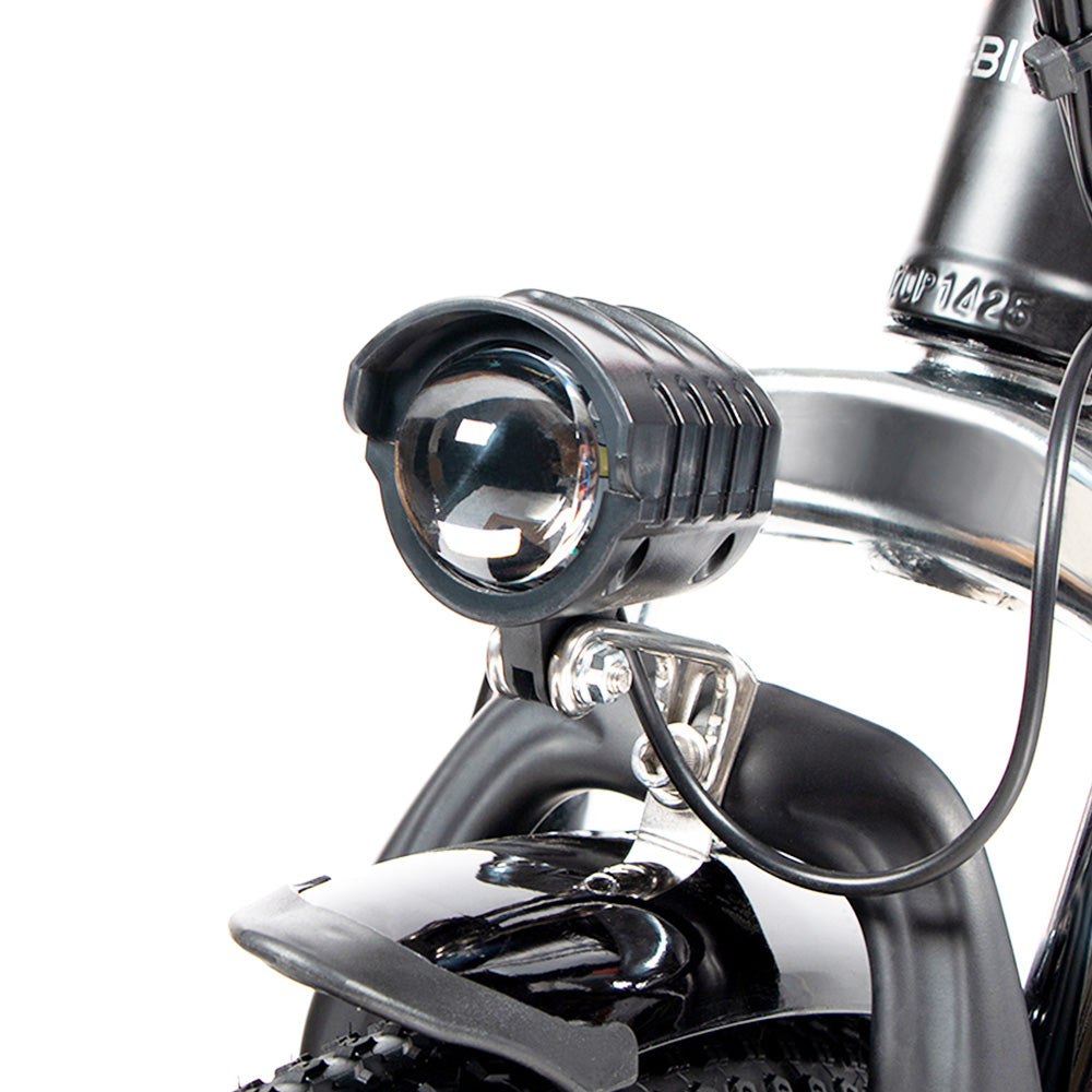 SAMEBIKE 20LVXD30-II Elektrofahrrad 20" Reifen 350W Motor 48V 10Ah Batterie