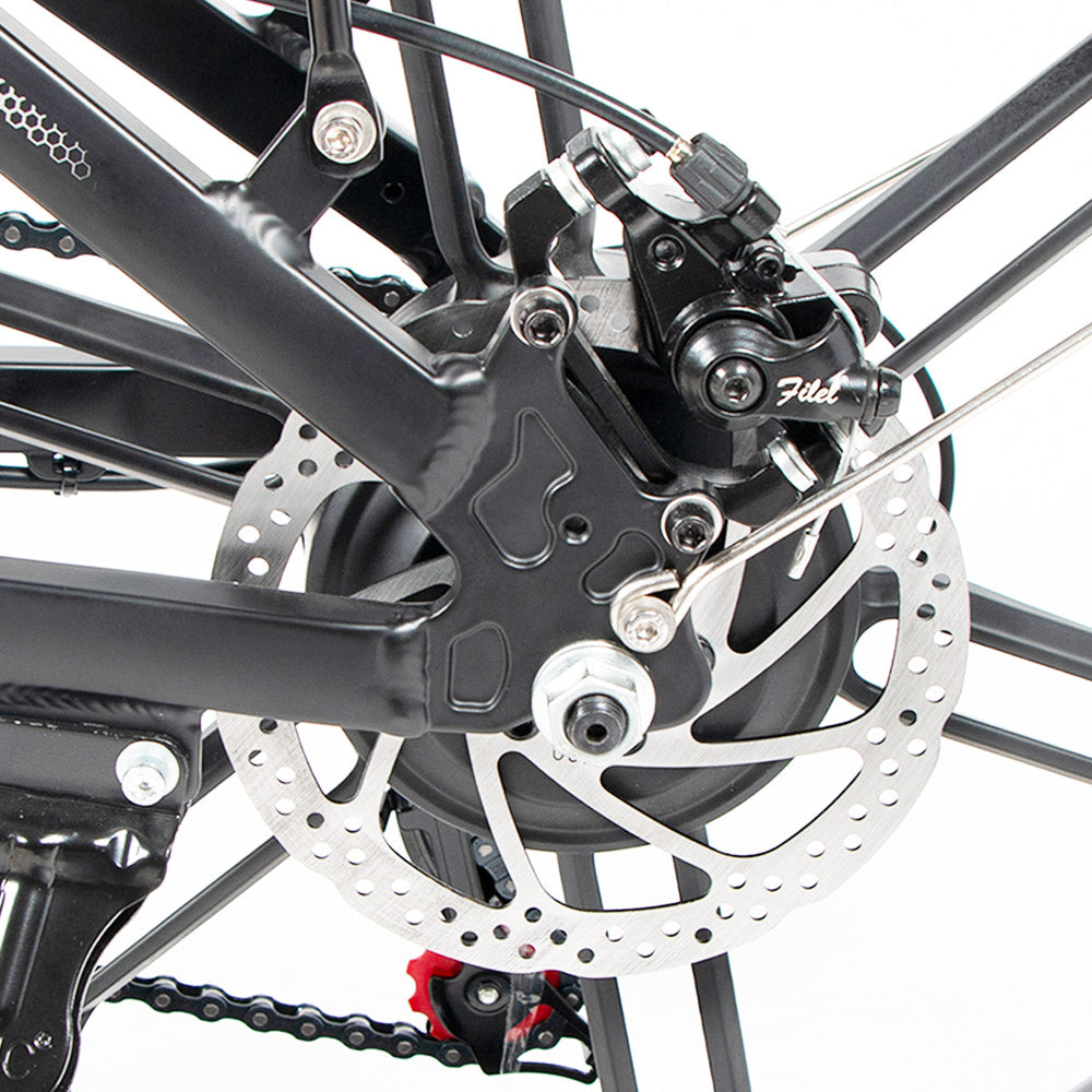 SAMEBIKE 20LVXD30-II Elektrofahrrad 20" Reifen 350W Motor 48V 10Ah Batterie