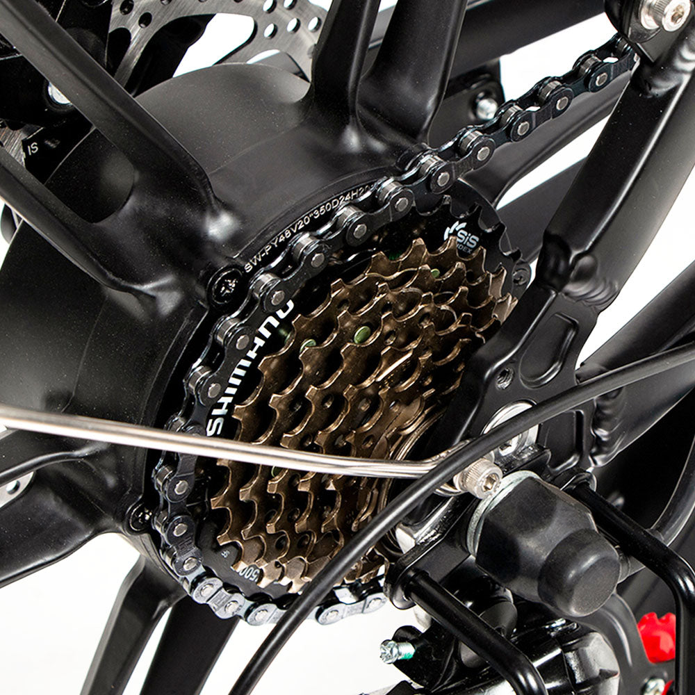 SAMEBIKE 20LVXD30-II Elektrofahrrad 20" Reifen 350W Motor 48V 10Ah Batterie