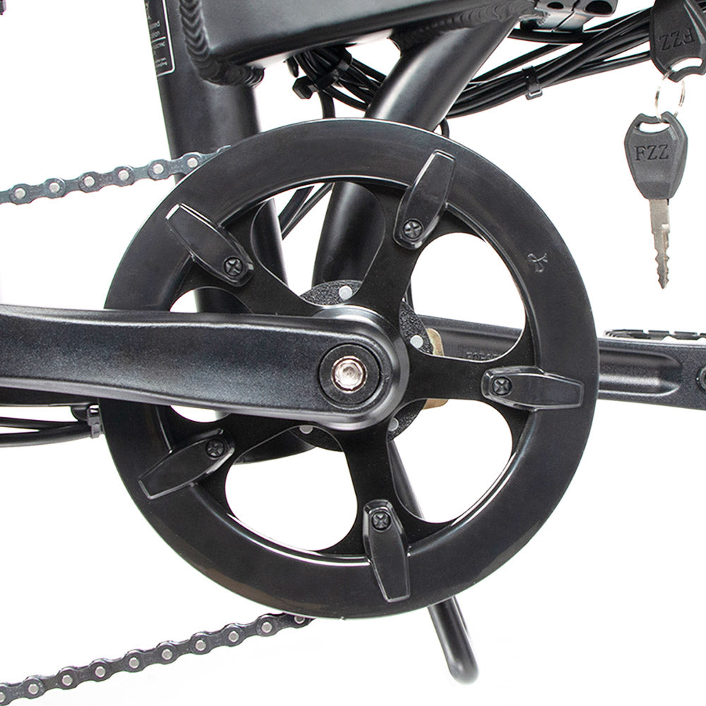 SAMEBIKE 20LVXD30-II Elektrofahrrad 20" Reifen 350W Motor 48V 10Ah Batterie