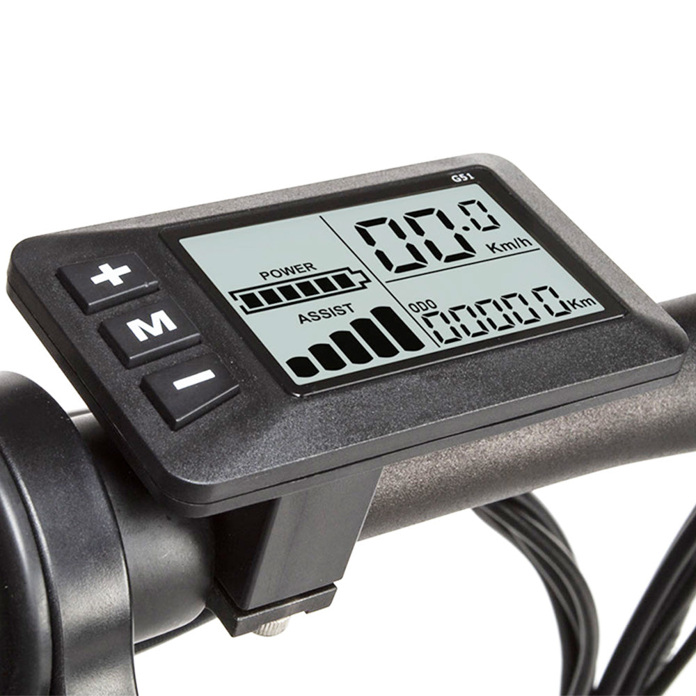 SAMEBIKE 20LVXD30-II Elektrofahrrad 20" Reifen 350W Motor 48V 10Ah Batterie