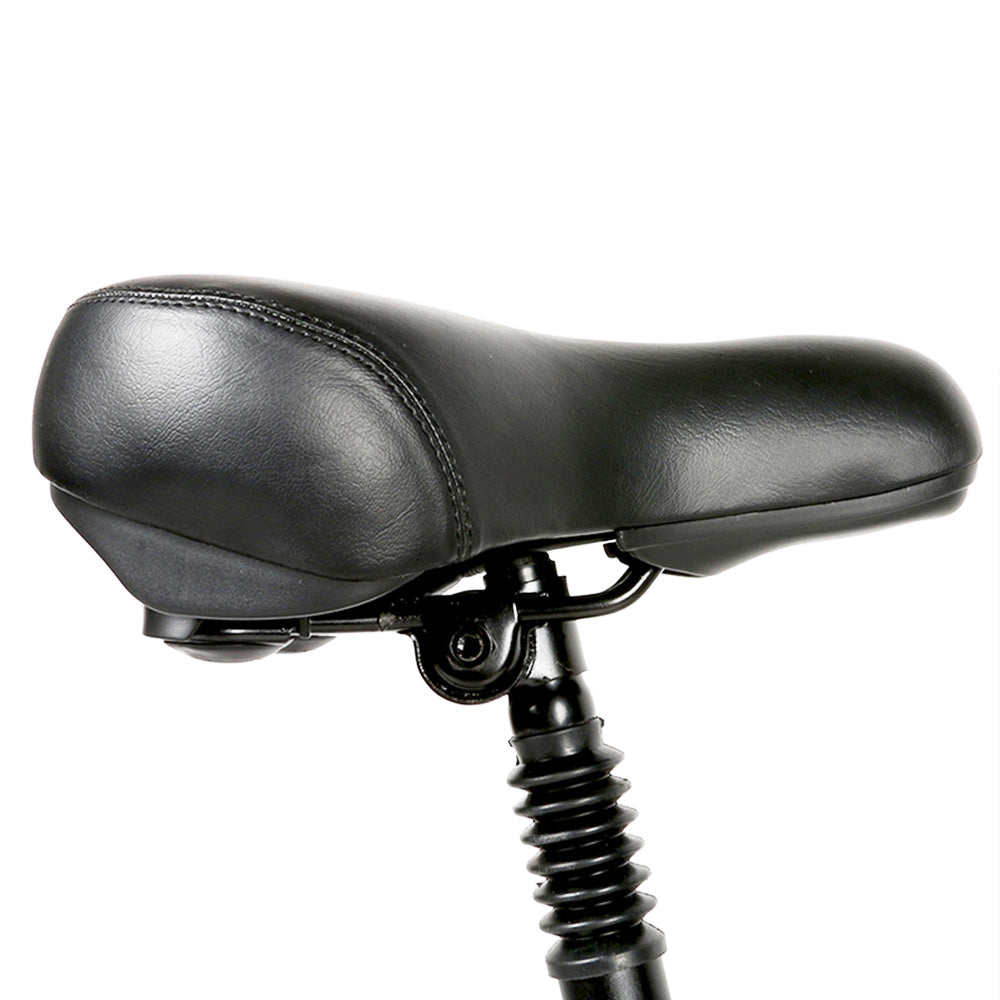 SAMEBIKE 20LVXD30-II Elektrofahrrad 20" Reifen 350W Motor 48V 10Ah Batterie