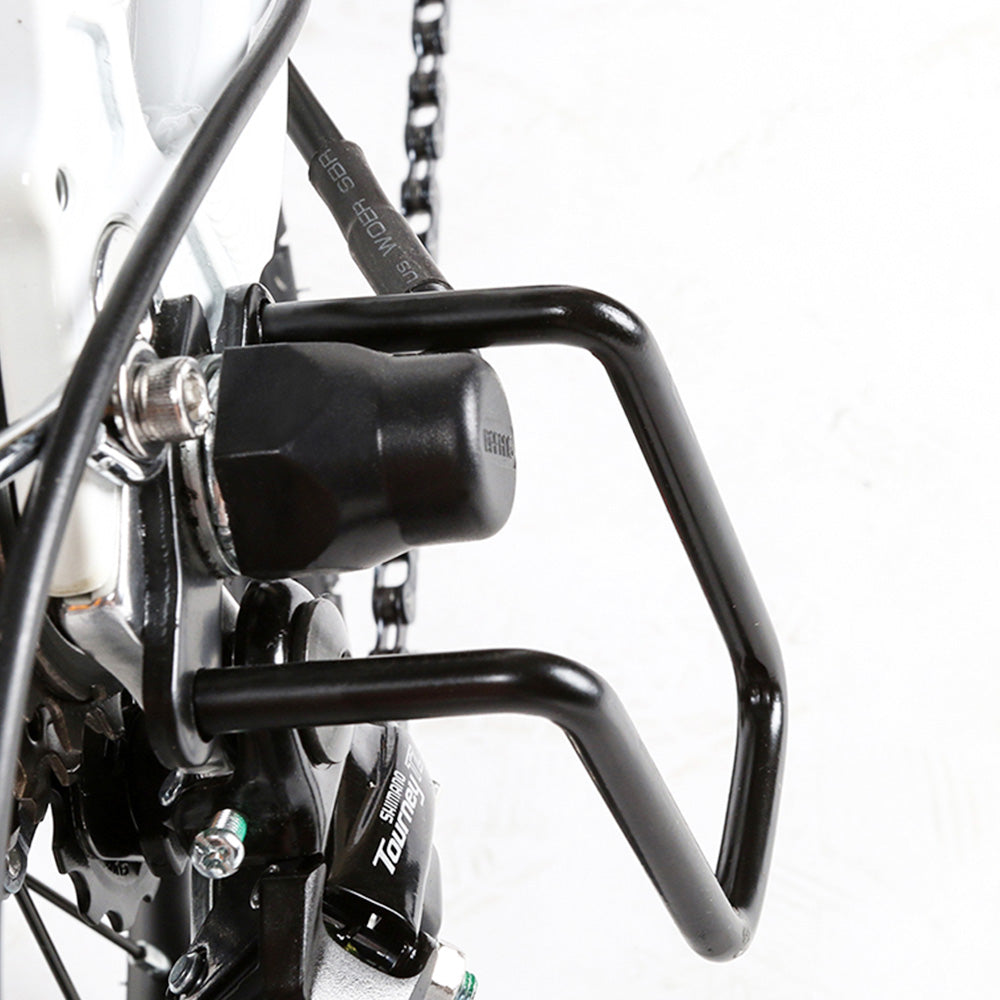 SAMEBIKE 20LVXD30-II Elektrofahrrad 20" Reifen 350W Motor 48V 10Ah Batterie